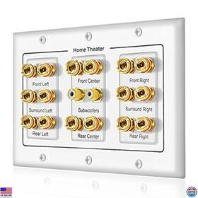 Brand Icespring Fdsaa-142 16 Banana Post And 2 Rca Speaker Wall Plate - Compatible With 5-8.2 Subwoofers