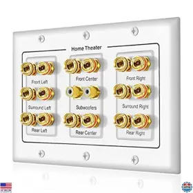 Fdsaa-142 Brand Icespring 16 Banana Post And 2 Rca Speaker Wall Plate - Compatible With 5-8.2 Subwoofers